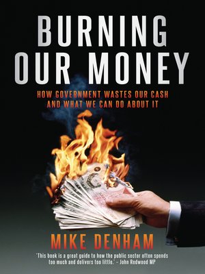 cover image of Burning Our Money